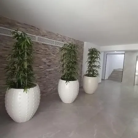 Lovely Sunrise Apartment